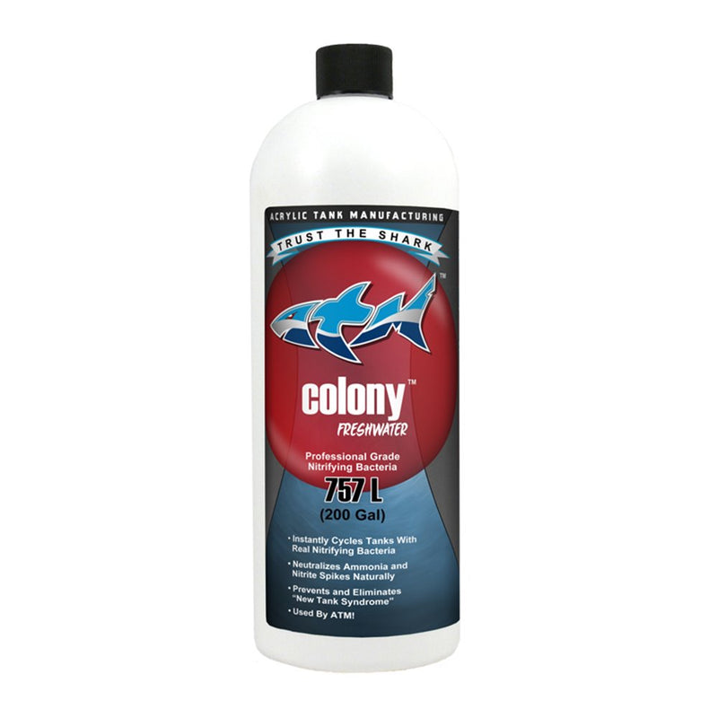 ATM Colony Freshwater Nitrifying Bacteria