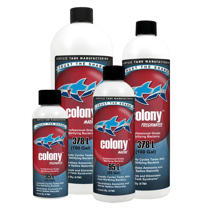 ATM Colony Freshwater Nitrifying Bacteria