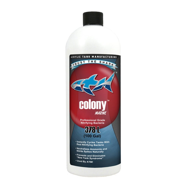 ATM Colony Marine Nitrifying Bacteria