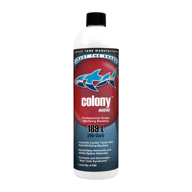 ATM Colony Marine Nitrifying Bacteria