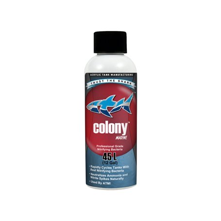ATM Colony Marine Nitrifying Bacteria
