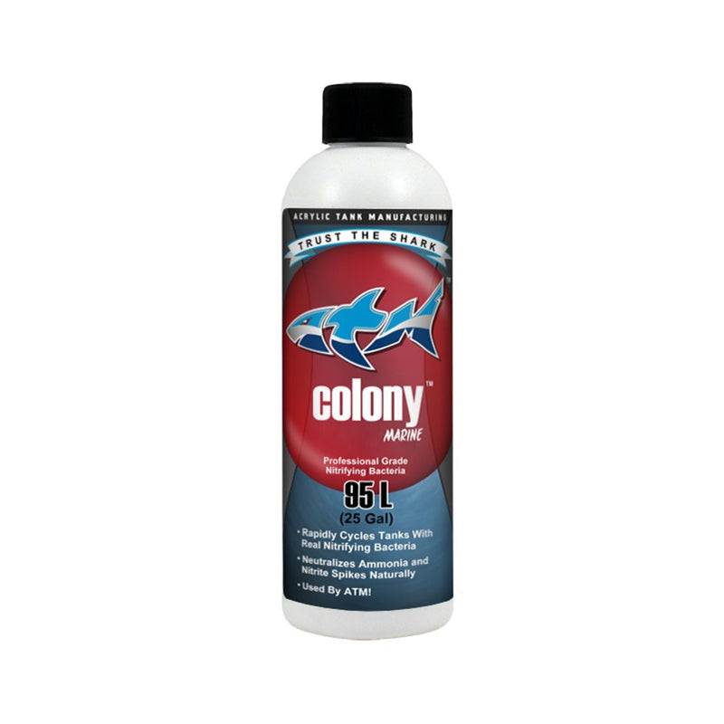 ATM Colony Marine Nitrifying Bacteria