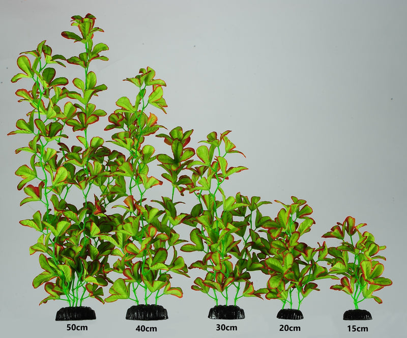 Silk Plant Aquarium Ornament in Various Sizes (Red Tipped Ludwigia)