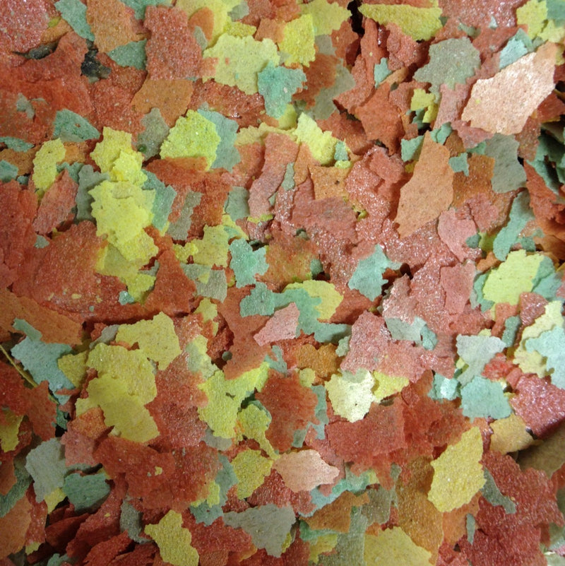 Cold Water Flake Fish Food (100g / 200g / 500g / 1kg)