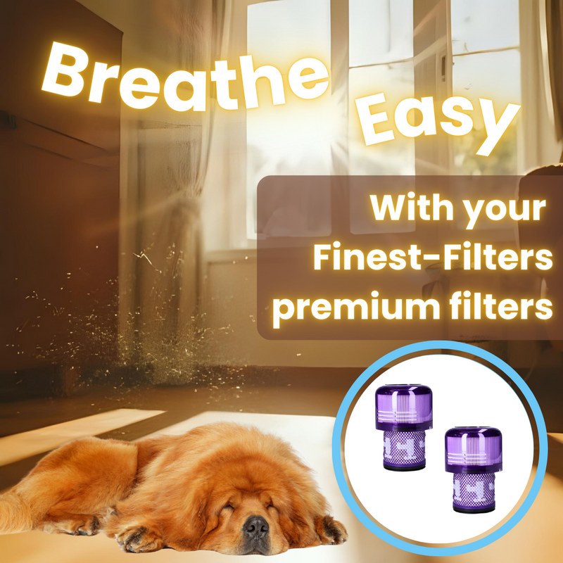 Pack of 2 Filters Compatible with Dyson V11, V11 Animal & more