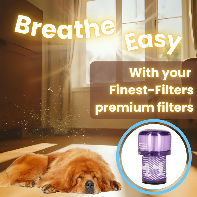 Replacement Filters for Dyson V12 Detect Slim & V12 Slim - Pack of 2