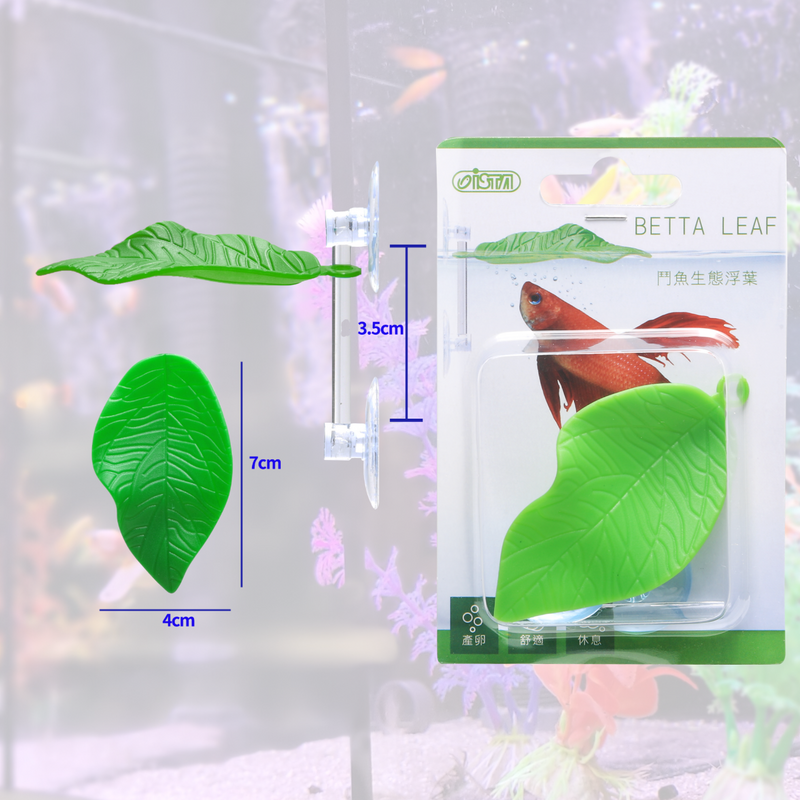Ista Green Betta Leaf 7cm x 4cm
