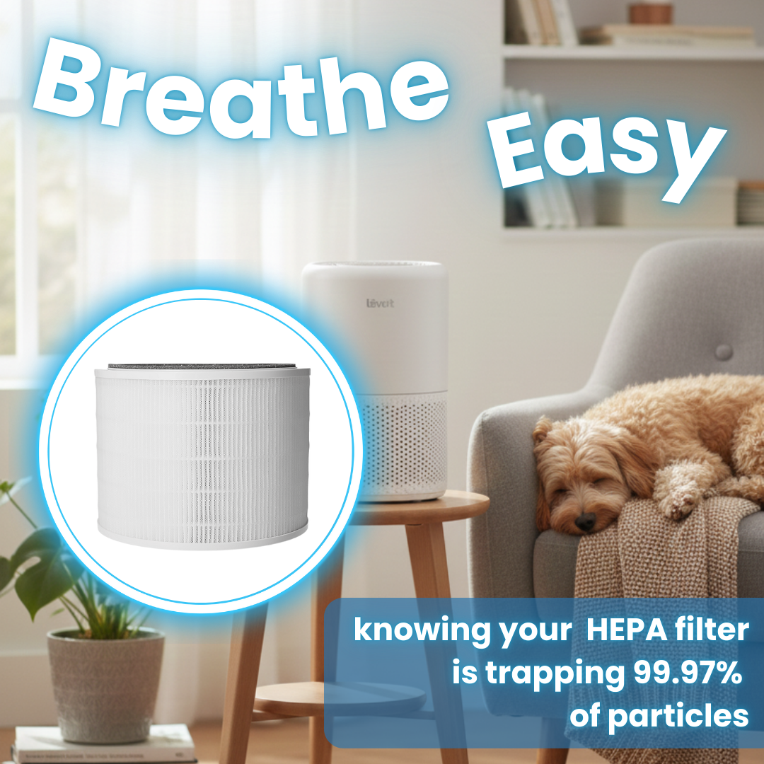 Replacement Air Purifier Filter Compatible for Levoit Core 200S ...