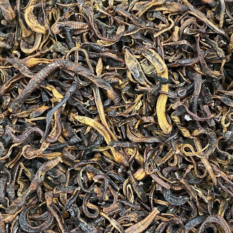 Freeze Dried Earthworms