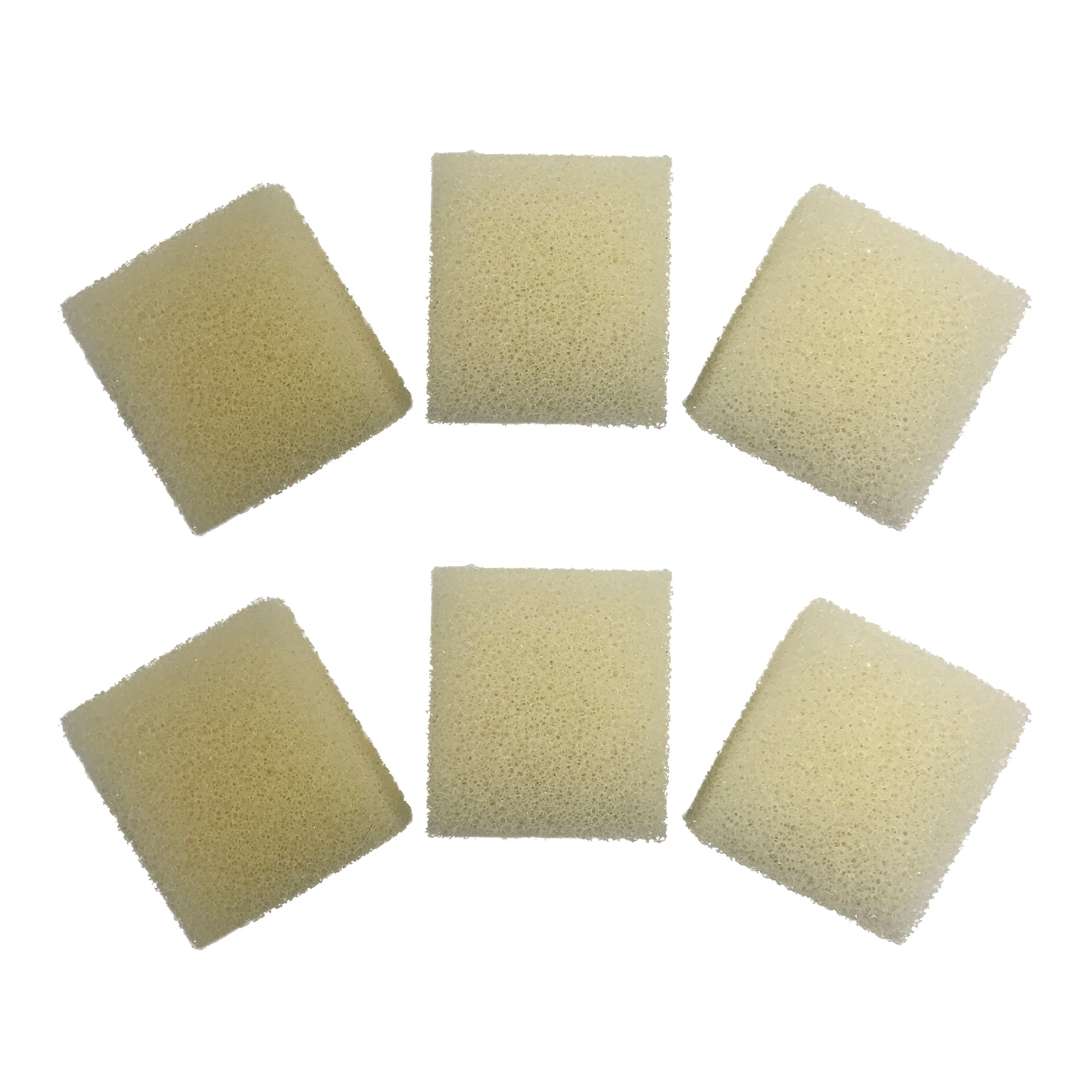 6 x Interpet PF Mini Replacement Foams — Finest Filters