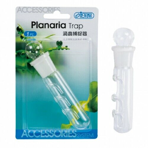 Ista Planaria Flatworm Worm Trap