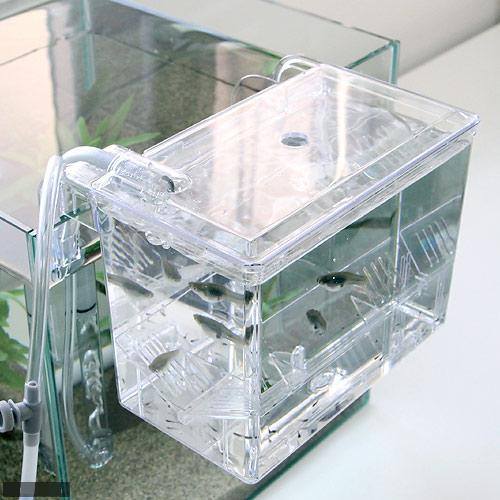 external hang on plastic aquarium fish breeding box satellite l Ista Hang-On Breeding Box — Finest Filters