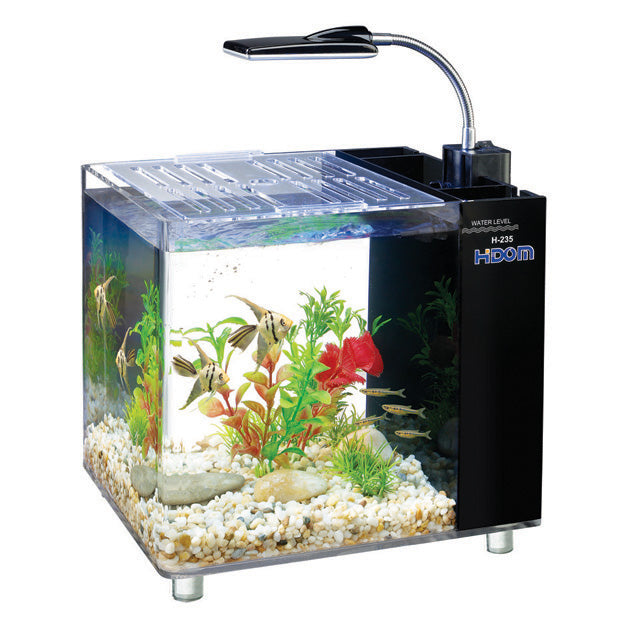 15L Acrylic Mini Aquarium with Filter and LED Lighting