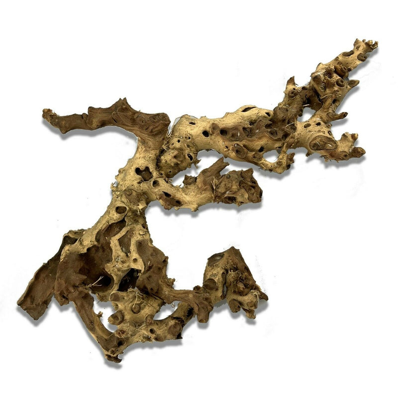 Natural Mopani Wood - Large Piece (40cm+)