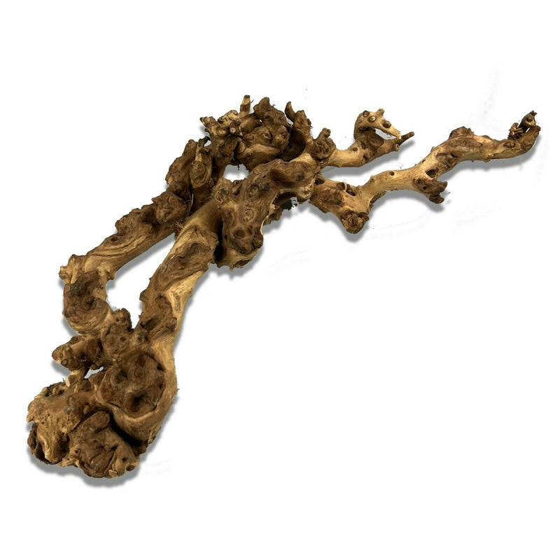 Natural Mopani Wood - Medium Piece (25-35cm)
