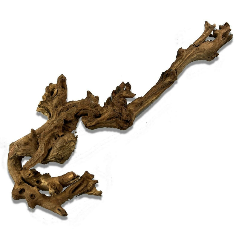 Natural Mopani Wood - Medium Piece (25-35cm)