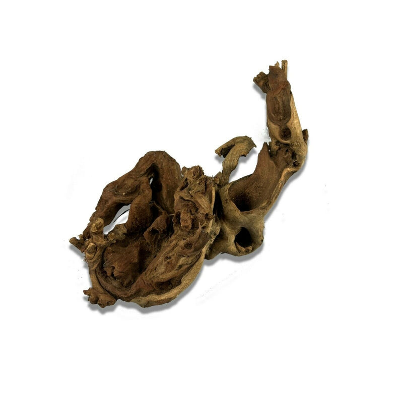 Natural Mopani Wood - Small Piece (15-20cm)