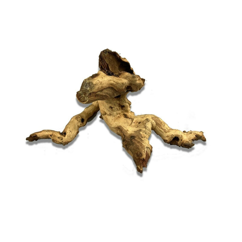 Natural Mopani Wood - Small Piece (15-20cm)