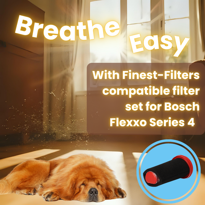 6-Piece Filter Multi-pack Compatible with Bosch BBH3211 GB Flexxo Series 4