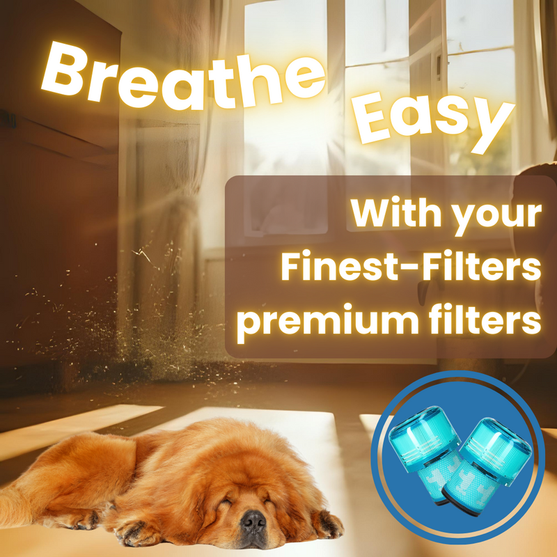 Pre-Motor Filter Multi-Pack (2) Compatible with Dyson V15/SV22