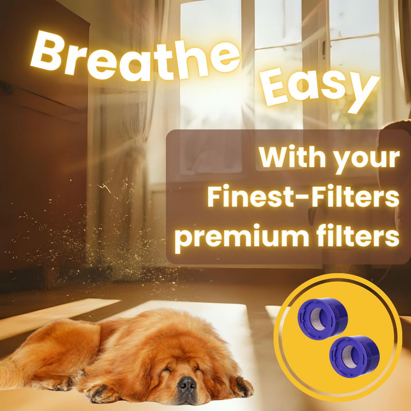 Post-Motor Filter Set (2) Compatible with Dyson V8/SV10