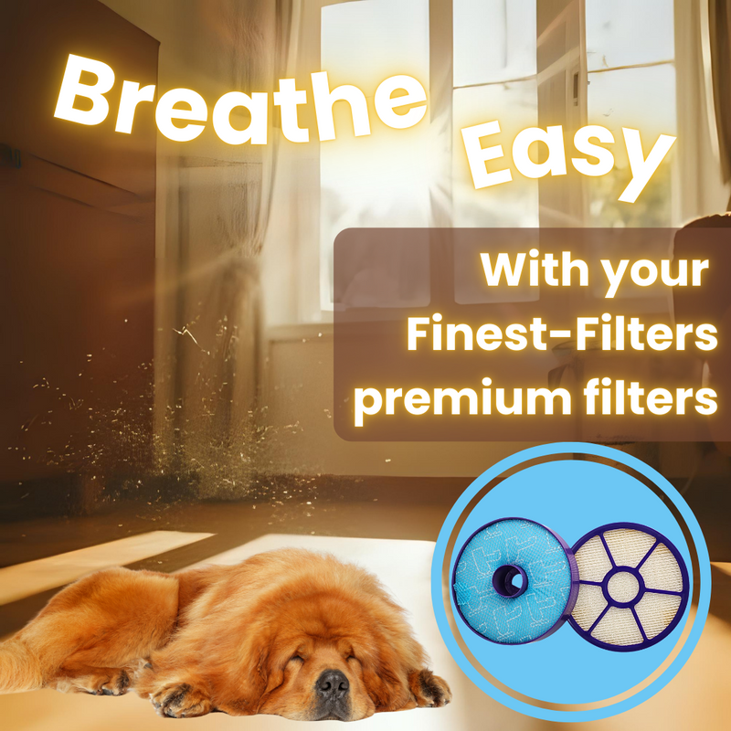 Pre-Motor and HEPA Filter Set Compatible with Dyson DC33
