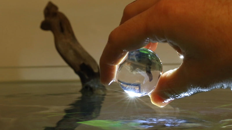 Evolution Aqua PURE Aquarium Bomb