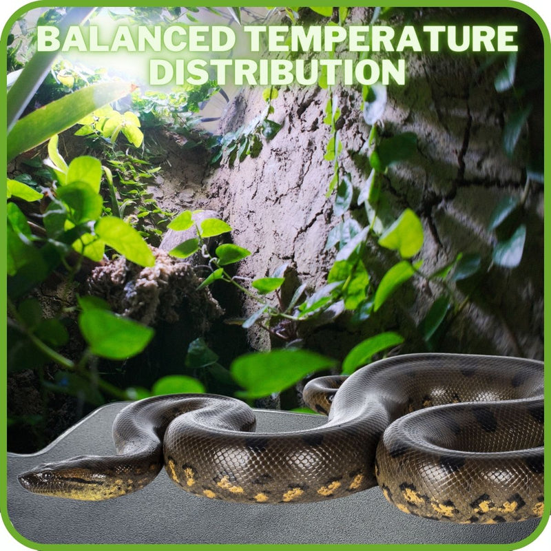 Reptile Vivarium PVC Temp Adjustable Heat Mats (4 Sizes)