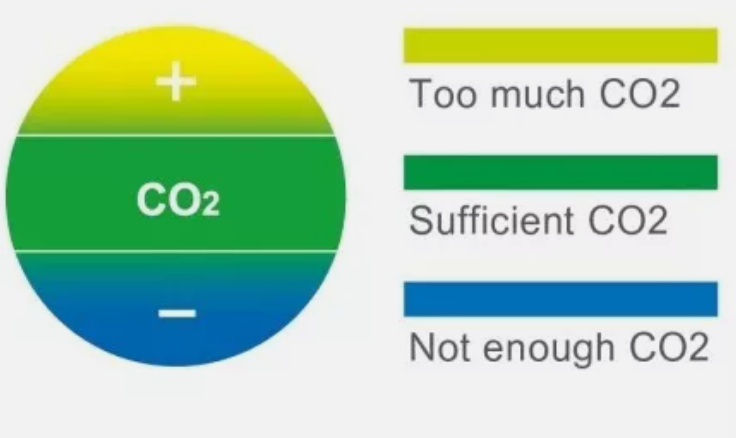 Ista Glass CO2 Indicator - I-700
